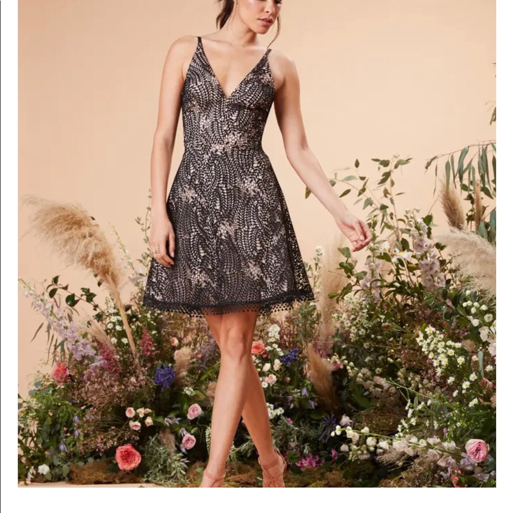 💋Brand New Dress the Population Lace dress XS